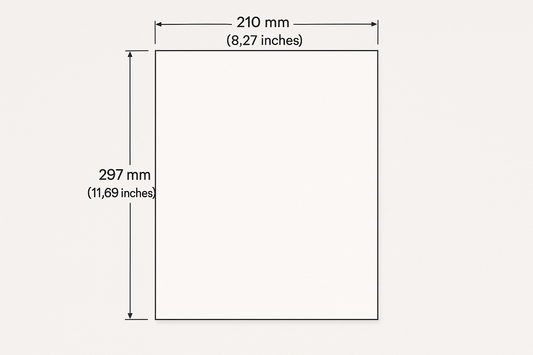 a4 page with dimensions